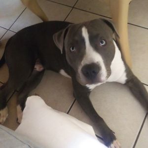 Meet your Posher, Luz